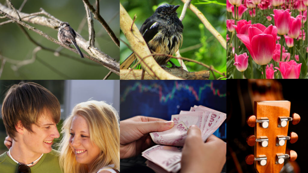 Earning online Take advantage of new opportunities in the digital world